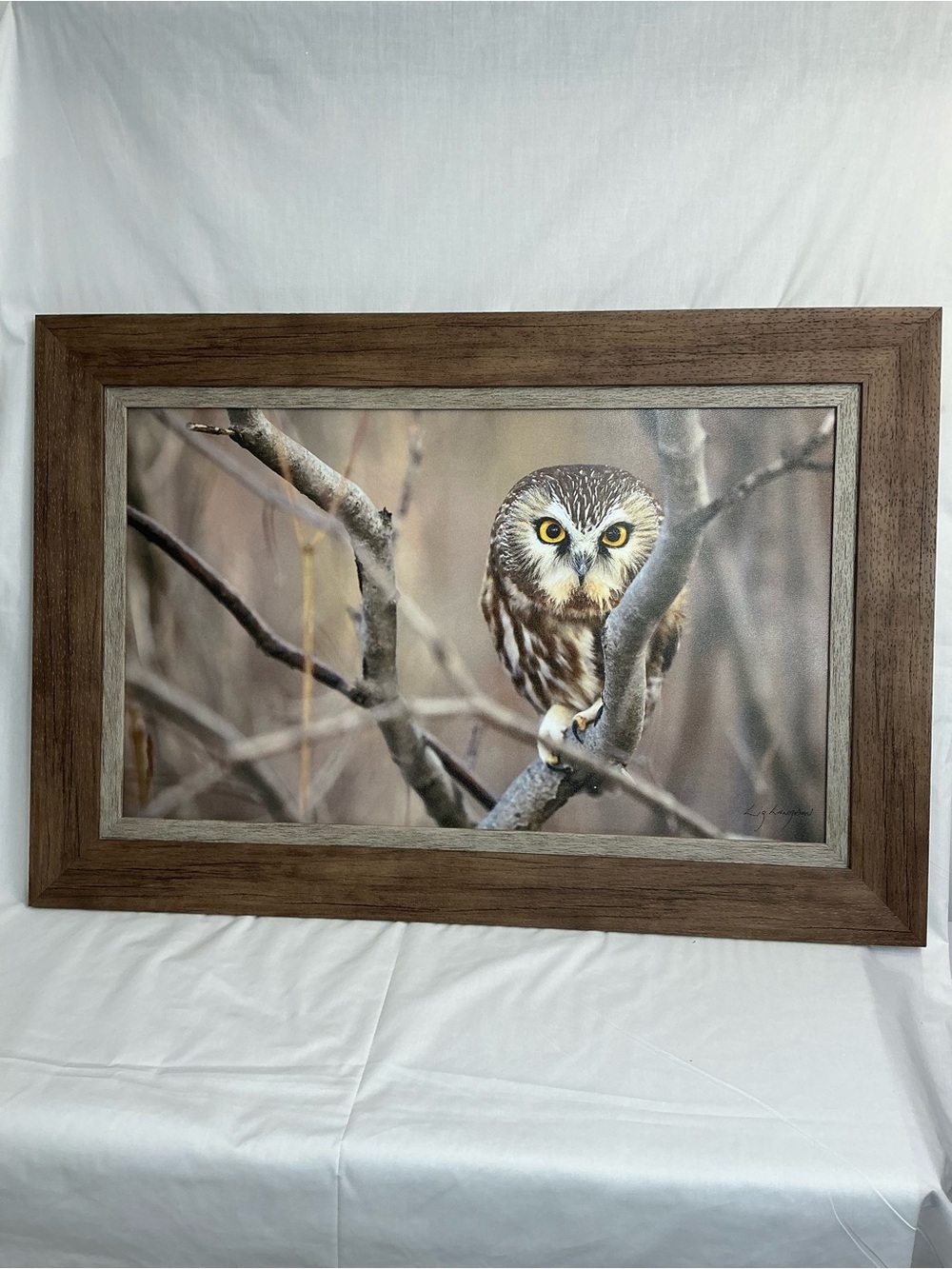 Framed Owl Wall Art Print in Brown and Gray